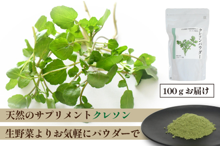 【注目のスーパーフード】天然クレソンパウダー 100g（国産 天然 粉末 パウダー 美容 野菜）