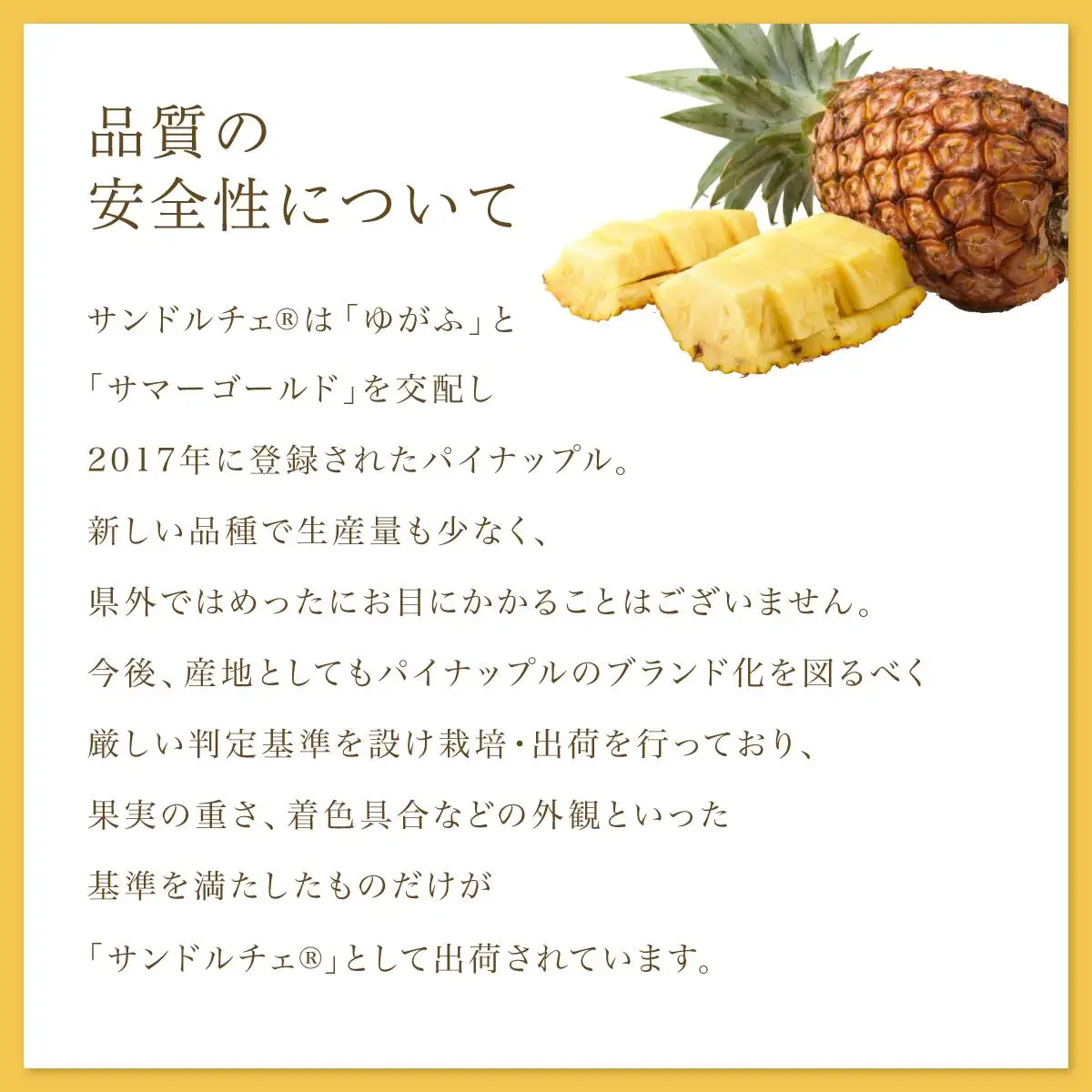 熟鮮サンドルチェ(R)2kg