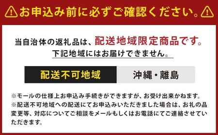 【伝統に育まれた本場の長崎カステラ】 人気の3種詰め合わせ！ ハニー 2本 ＆ チョコ、抹茶 各1本 計4本セット カステラ 和菓子 菓子 お菓子 スイーツ デザート 詰め合わせ 詰合せ セット 九州 長崎県 時津町 常温
