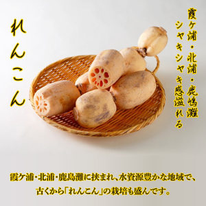～GI登録「さつまいも」使用～「行方かんしょとれんこんのカレー」＆「パックご飯」各6個セット｜カレー レトルト レトルトカレー パックご飯 ごはん レンジ コシヒカリ 非常食 ご当地 ご当地カレー 人気 オススメ 便利 特産品 地元特産品 茨城県 行方市(AE-147)