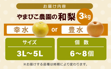 先行予約 豊水梨 3kg (3L～5Lサイズ) 6~8玉入り【2026年9月上旬～9月下旬発送】 梨 和梨 なし [A-21901_02]