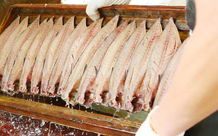 【12ヶ月定期便】 越田の干物 大さば 3枚入×1パック 合計36枚 干物 鯖 さば 魚 お魚 さかな さば サバ