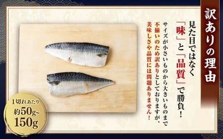 【4ヶ月定期便】【訳あり】国産 ふっくら 極み塩サバ 計約1kg ／ 1切れ 塩サバ 塩さば 塩鯖 さば サバ 鯖 魚