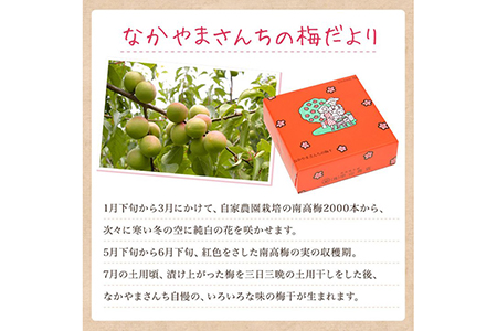 《紀州南高梅》はちみつ梅干し 700g〔化粧箱入り〕 ◇