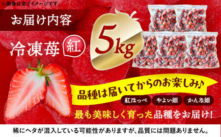 冷凍苺 5kg いちご 苺 イチゴ【配達不可：離島】 / くぼ苺農園[AECJ027]
