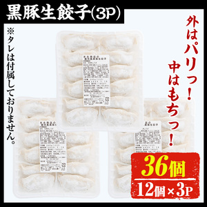 No.1327-n 鹿児島黒豚使用の黒豚生餃子(計36個・12個入り×3パック)国産 九州産 ぎょうざ ギョウザ 冷凍 黒豚 豚肉 お肉 おかず【末永商店】
