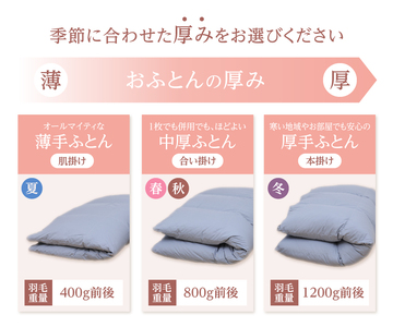 布団 さらっと薄手の羽毛布団 シングル ブルー 洗えるふとん