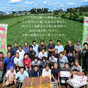《先行予約》富の川越いも3kgセット(2026年11月上旬頃より順次発送予定) FAA-229