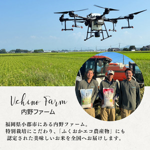 定期便 6回 特別栽培米 R7年度産 福岡県 小郡産 夢つくし 5kg 米 お米 6ヶ月