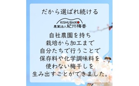 訳あり 無添加 梅干し 紀州梅香の減塩3%つぶれ梅 約1kg(500g x 2) 中~大粒 はねだし梅 紀州南高梅 産直) 3-G