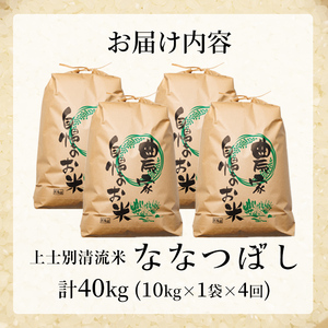 【F7197】《定期便・全4回》上士別清流米 ななつぼし (10kg×4回・計40kg) 米 お米 精米 白米 北海道米 ごはん ななつぼし 北海道産 士別産 10kg 40kg 定期便 【合同会社T&M】