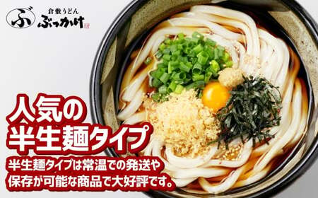 【3ヶ月定期便】『倉敷うどん ぶっかけ』ファミリーセット(半生) 9人前×3回 うどん 麺類 麺 半生 半生麺 ぶっかけうどん タレ つゆ 岡山県 倉敷市