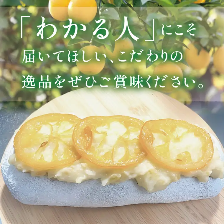 爽やか国産レモンの丸ごとシュトレン～レモンの恵み～【埼玉県　春日部　お菓子　スイーツ　手作り】（DA011）