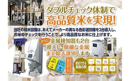 令和7年産 福島県須賀川産 ミルキークイーン 白米10kg(5kg×2袋) 米 お米 コメ ごはん ご飯 F7X-0606