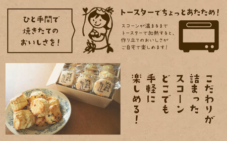 星子スコーン 行列ができる スコーン 詰め合わせ 3種 3個