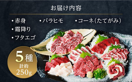 馬刺し 5種 約250g 馬刺し食べ比べ[AYAT022]