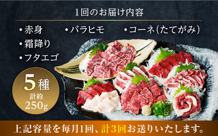 【全3回定期便】馬刺し 5種 盛り合わせセット 5人前 約250g 馬刺し[AYAT023]