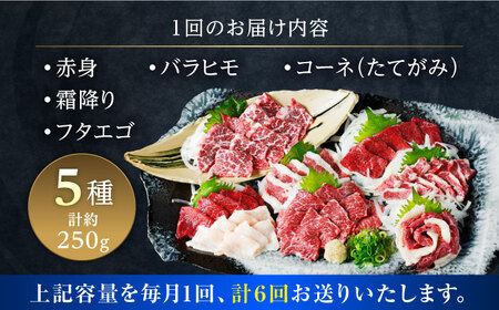 【全6回定期便】馬刺し 5種 盛り合わせセット 5人前 約250g 馬刺し[AYAT024]
