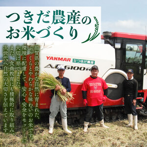 米 【令和7年産 ミルキークイーン 5kg】つきだ農産 ミルキークイーン