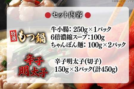 もつ鍋 2.5人前 辛子明太子 3パック 計450g [um40bfw560020] 明太子