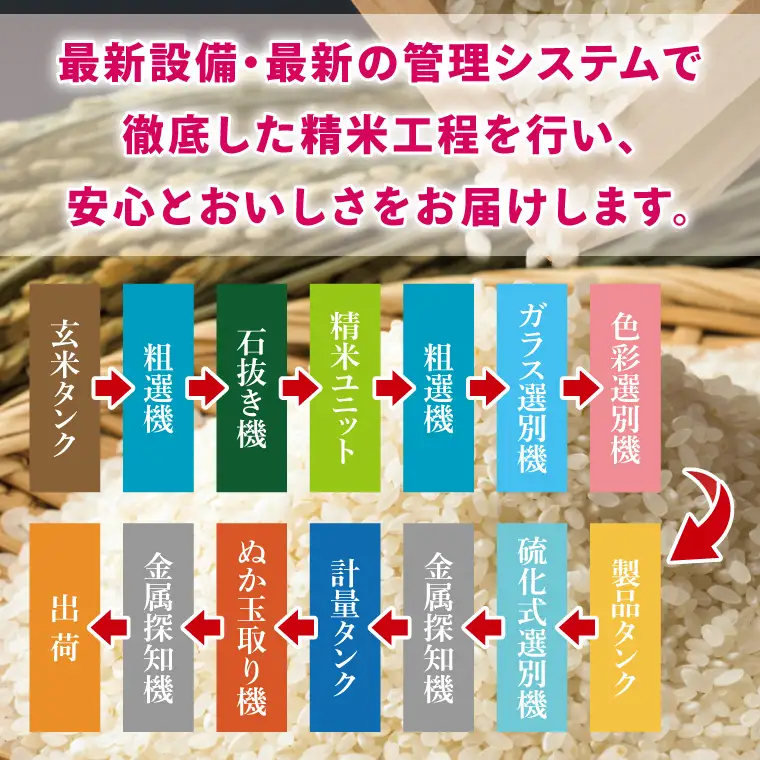 【数量限定】【令和7年産】茨城県産コシヒカリ 10kg(5kg×2袋)(NQ-2)