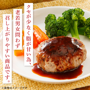 正直米とBHTハンバーグ【米 お米 こめ ハンバーグ 肉 お肉 贅沢 冷凍 茨城県 北茨城市】(BY003)