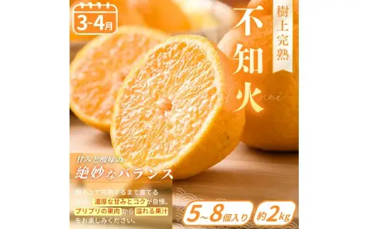 【フルーツ定期便・全6回】品質に自信あり！くしがきの里から直送　厳選した果物を最高のタイミングでお届け♪ / 定期便 桃 もも みかん 柑橘 シャインマスカット マスカット いちご 不知火 はれひめ イチゴ 苺 果物 フルーツ 6回【kgr530-ku6】