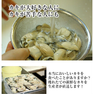 米田海産の広島かき むき身 2kg (0.5kg×4袋) 【加熱調理用】