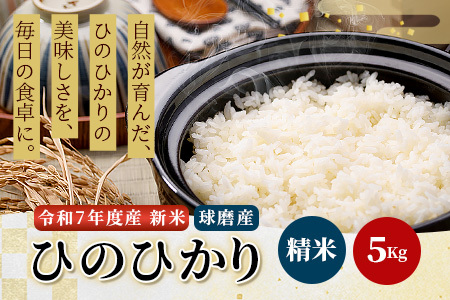 【令和7年度産米】球磨産 ひのひかり 精米 5kg お米 ヒノヒカリ お米 白米 036-0180