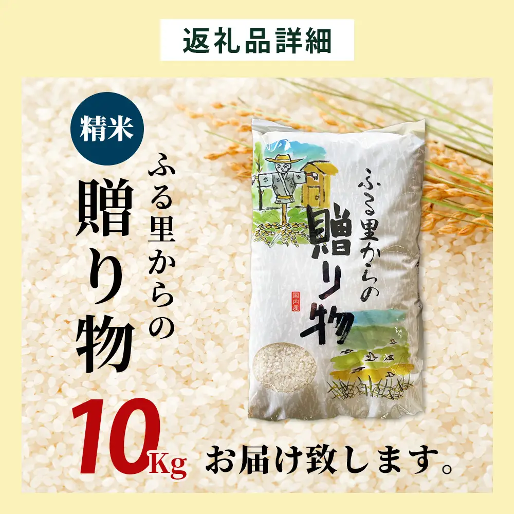 令和7年度産 精米 ふる里からの贈り物 5kg 熊本産 ひのひかり ブレンド米 036-0181