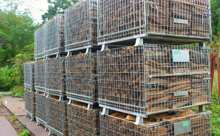 【長野県 信濃町】純国産 楢材（ナラ) 薪 約500㎏  (未乾燥材のため十分に乾燥させてご使用ください／現地引取り限定)  薪ストーブ、焚火に最適！火持ち良く、高熱量で、燃焼時間が長い。煙・灰が少なく、パチパチと心地よい音を立てて燃えるのが特徴です※長野県信濃町にて引取のみのご対応となります／500㎏：約たたみ一畳×高さ60センチ ※必ずお車の積載量をご確認ください【長野県 信濃町 ふるさと納税】