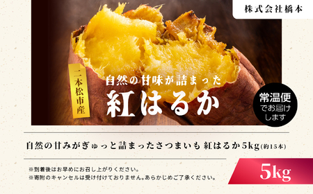 さつまいも 紅はるか 5kg ｜さつまいも【株式会社橋本】
