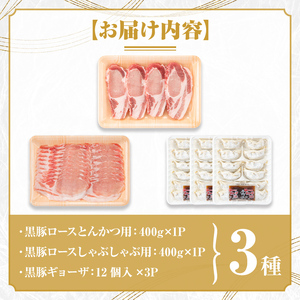 【B06001】鹿児島県産黒豚ロース＆餃子セット 鹿児島県 国産 九州産 黒豚 豚肉 ポーク ロース とんかつ しゃぶしゃぶ 餃子 ギョーザ ぎょうざ バラエティ セット 詰め合わせ 鹿児島 ギフト 贈答【あかつき産業株式会社】