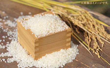 令和7年産 コシヒカリ 5kg 白川町 / 白川町農業開発[AWAH030]
