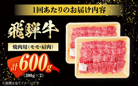【6回定期便】飛騨牛 焼肉用赤身 600g 白川町 / 浅井商店[AWBJ013] 飛騨牛