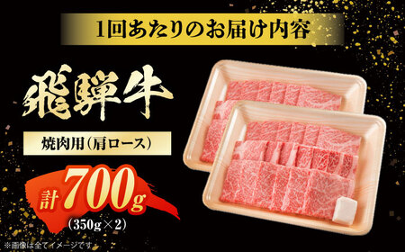 【6回定期便】飛騨牛 焼肉用肩ロース 700g 白川町 / 浅井商店[AWBJ016] 飛騨牛