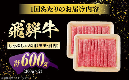 【12回定期便】飛騨牛 牛しゃぶ用赤身 600g 白川町 / 浅井商店[AWBJ020] 飛騨牛