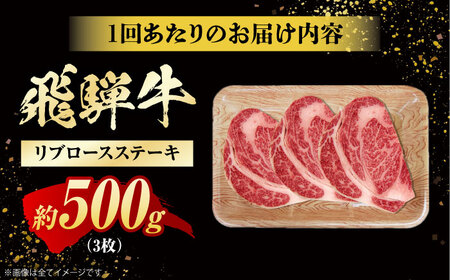 【12回定期便】飛騨牛 ステーキ用計500g 白川町 / 浅井商店[AWBJ032] 飛騨牛