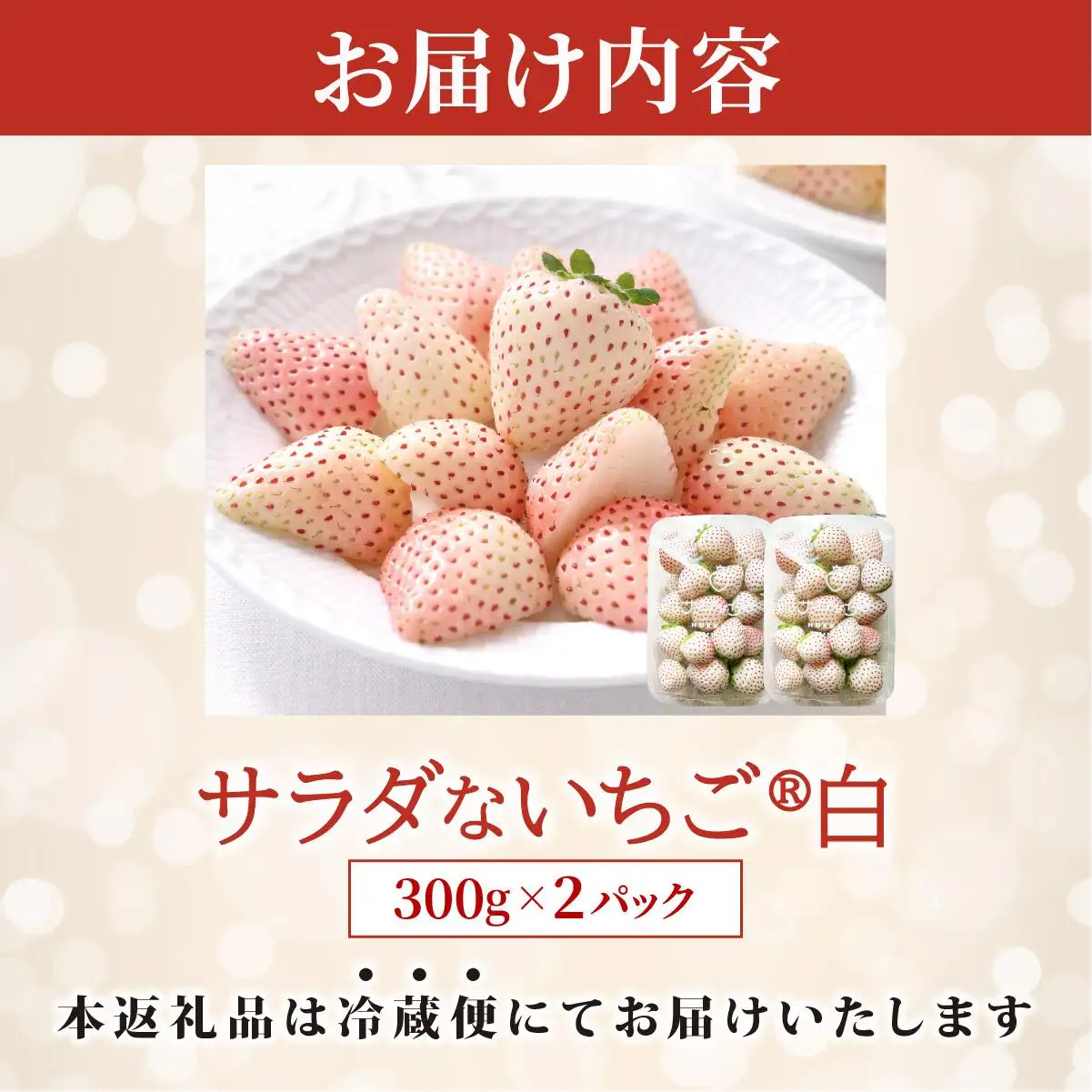 ＜2026年先行予約＞ サラダないちご（白）ご褒美 苺 最旬 贈答 ギフト プレゼント 果物 フルーツ イチゴ 北海道 伊達【ecg-001】