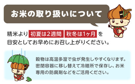 【令和7年産】ひのひかり 10kg 【勝農園】[IDK001]