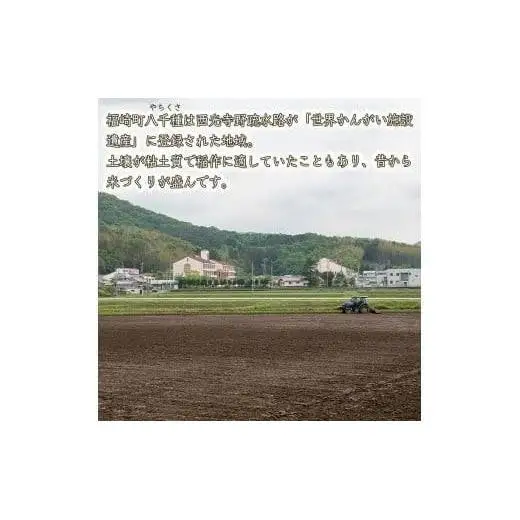 【精米】【 最短 翌日発送 】令和7年産 ヒノヒカリ 八千種米 お米 5kg ごはん 兵庫県産 世界かんがい施設遺産登録『西光寺野疏水路』