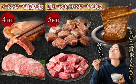 【5か月定期便】宮崎牛焼肉定期便 宮崎牛 牛肉 お肉 国産牛 ブランド牛 和牛 焼肉 スライス ステーキ サイコロステーキ ウデ焼肉 モモ焼肉 定期便 霜降り 贈答用 贈答 贈り物 プレゼント 記念日 誕生日 内祝い グルメ BBQ 焼き肉 アウトドア ミヤチク お祝い ホームパーティー おもてなし _Tk031-t029