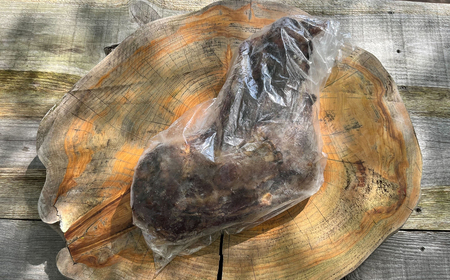 【全３回定期便（２か月に１回）】犬用丹沢鹿肉 お楽しみセットB【 犬 いぬ イヌ ペット用 鹿肉 おやつ 神奈川県 山北町 】