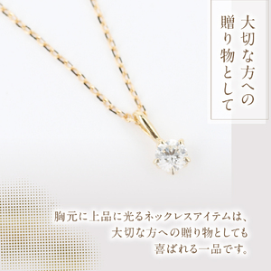 F-014 ダイヤモンド ネックレス PT950/PT850 プラチナ ジュエリー アクセサリー