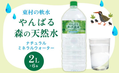 定期便12回 東村の軟水【やんばる 森の天然水】　2L×6本