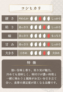 【定期便3回】コシヒカリ  3kg（1kg×3）令和7年産[095-t3-a301_A] 