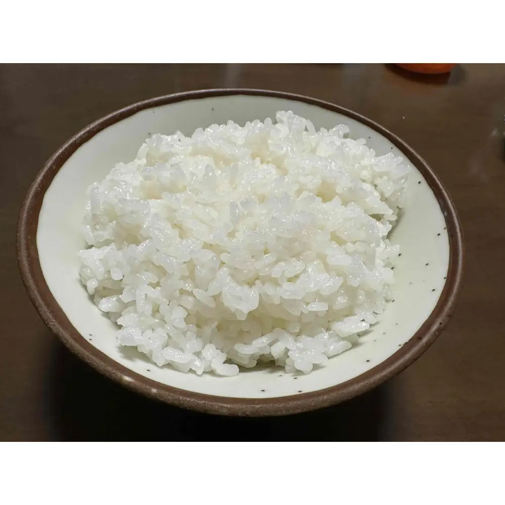 【令和7年産】南魚沼産コシヒカリ 白米10kg【銘柄米 ブランド米 精米 こしひかり コシヒカリ 魚沼産 新潟米 産地直送 お米 米 こめ コメ ご飯 御飯 ごはん】