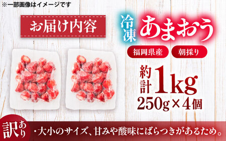 【訳あり】福岡県産 冷凍あまおう 1kg (250g×4個) [VEG012] いちご 苺 イチゴ 取り寄せ