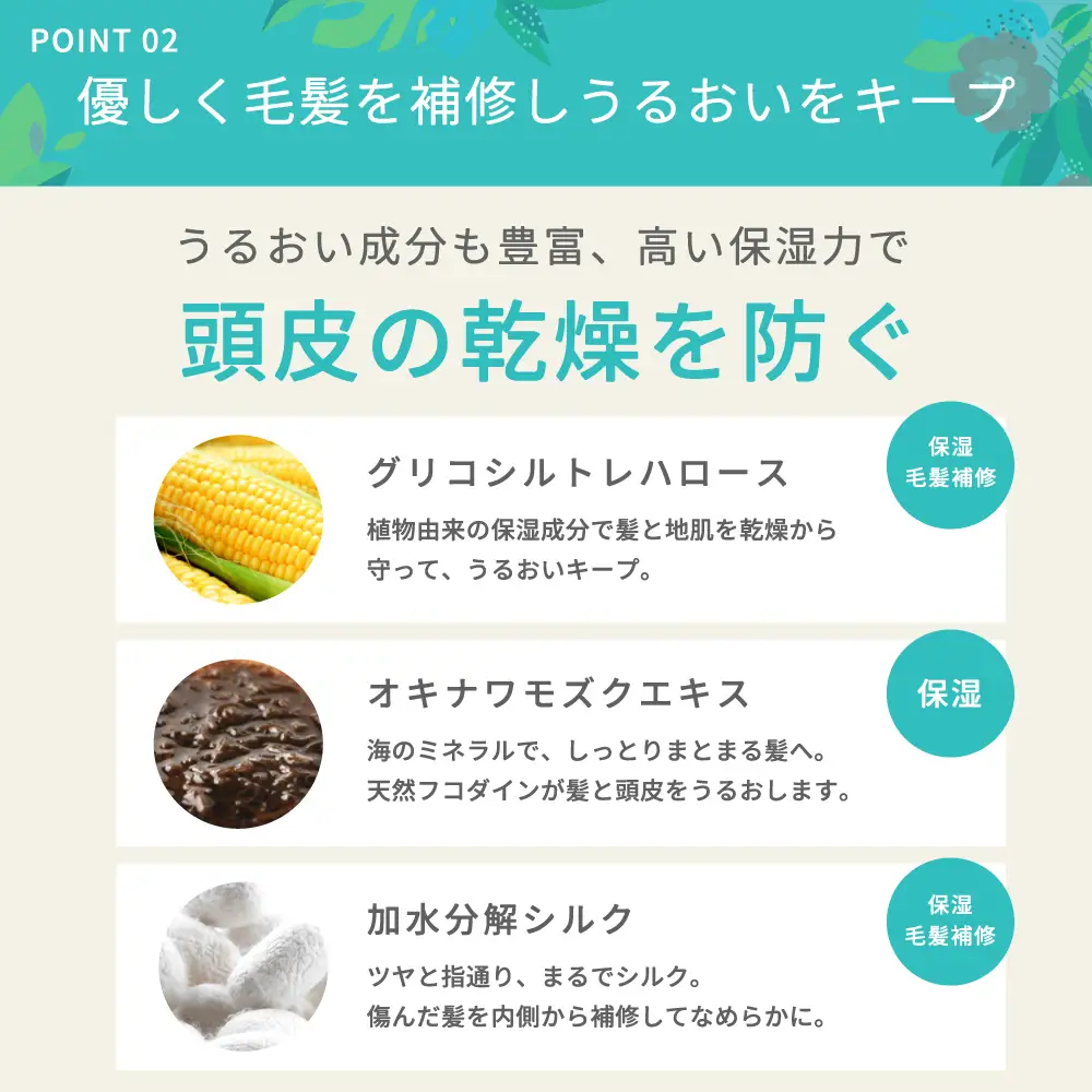 美容室専売品『Raffi』シャンプー 1000ml×1本 無添加 