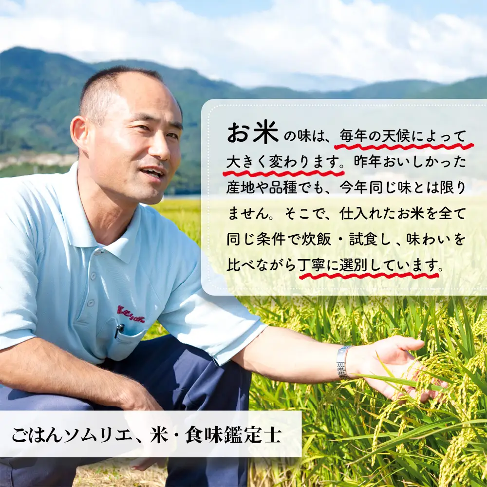 【令和7年産】ごはんソムリエが厳選 白米 さがびより 5kg(H063157)